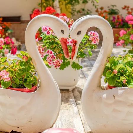 Boutique 'sofia' Pensiune