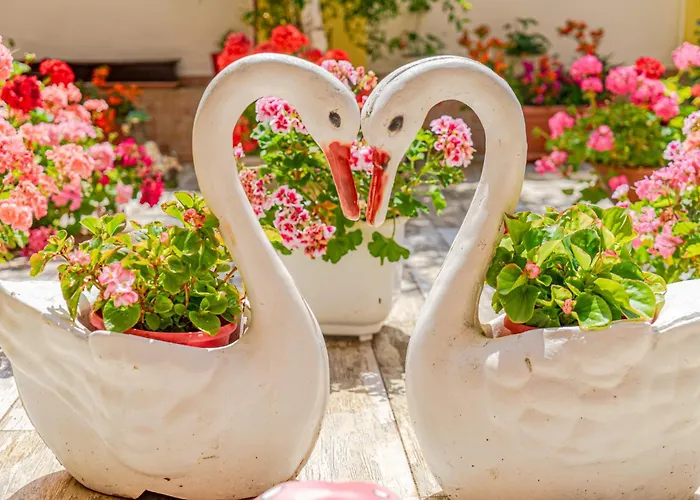 Boutique 'sofia' Pensiune